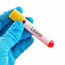 LIPASE